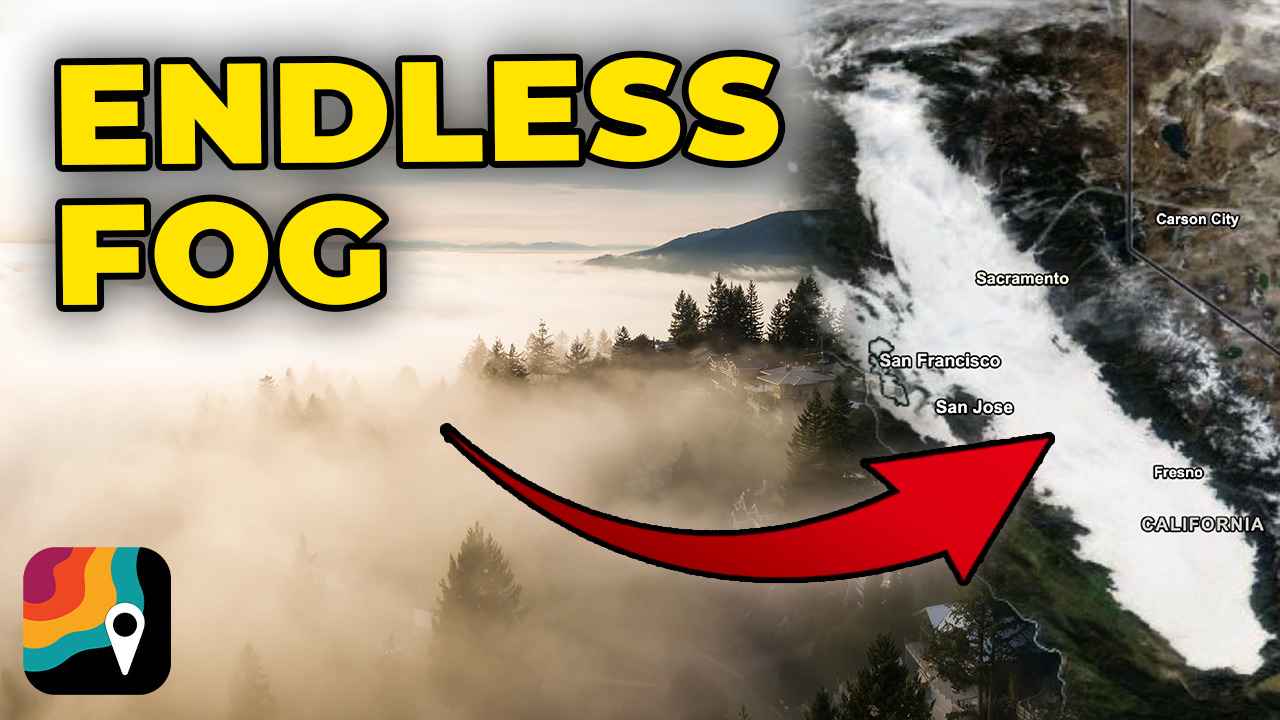 THREE WEEKS of Fog!?